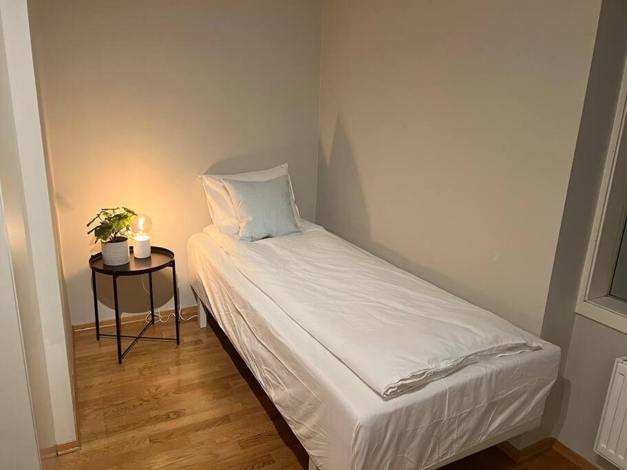 4-Bedroom-Apt For 7/Oslo Central Esterno foto